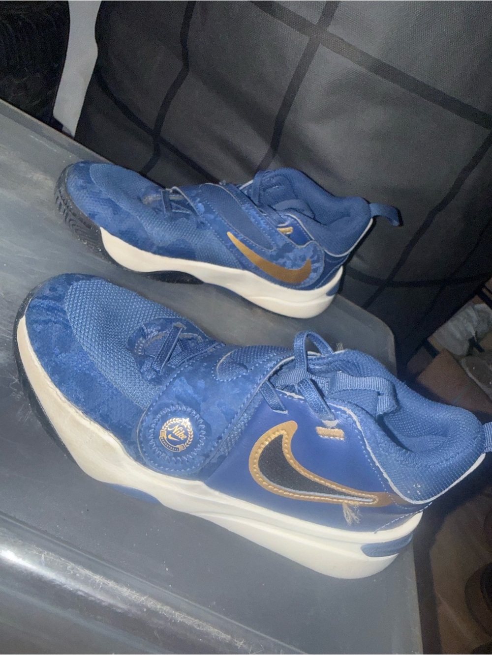 Nike Kids Blue and Gold Low-Top Sneakers